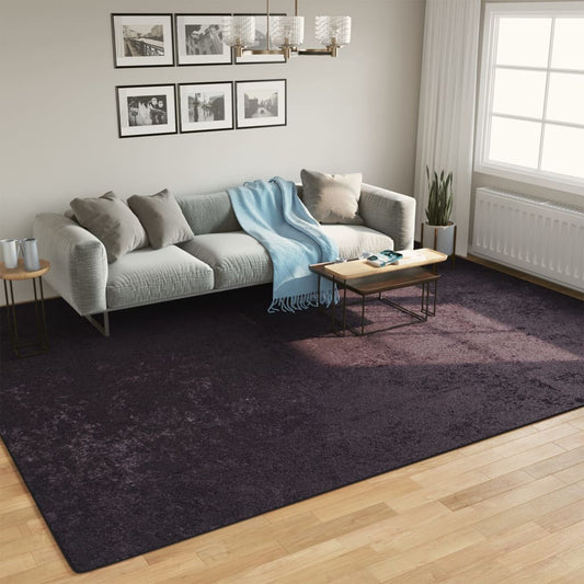 Vloerkleed Wasbaar Anti-Slip Kleurig Antraciet